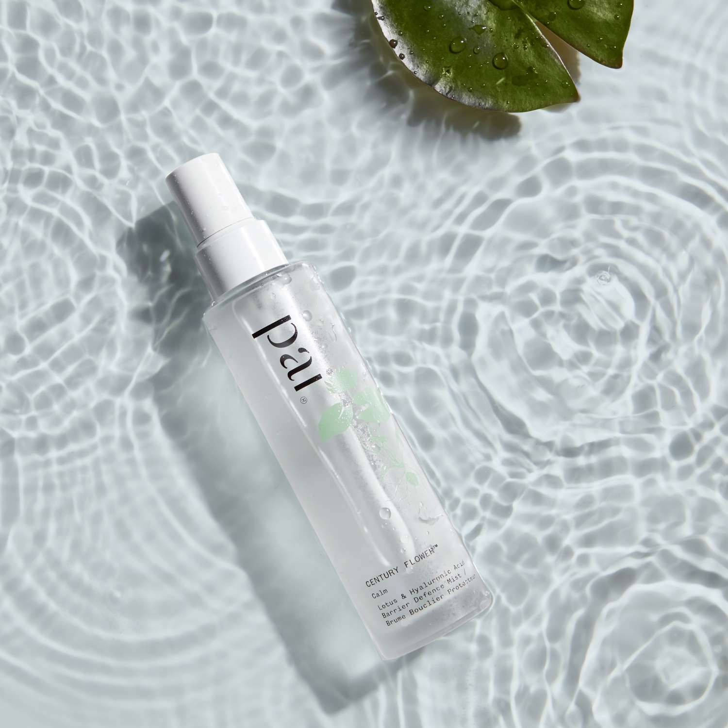 Century Flower™ Face Mist - Image 6